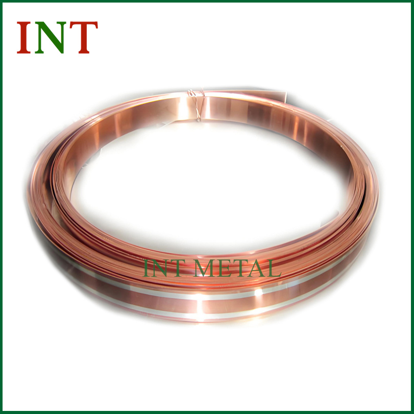 Zilveren geklede bronzen strip