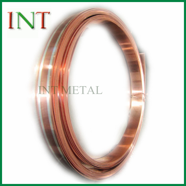 Silver Onlay Bronze Strip